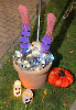Halloween-Spuk-2025_19