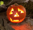Halloween-Spuk-2025_22