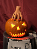 Halloween-Spuk-2025_27