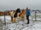 Winterwanderung-2019_19