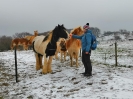 Winterwanderung-2019_20